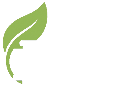 FAP Spain — Limpieza de filtros de partículas